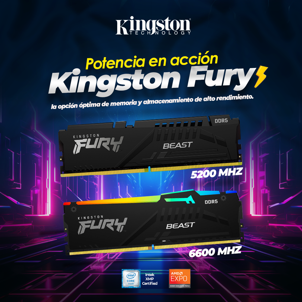 ENERO KINGSTON FURY
